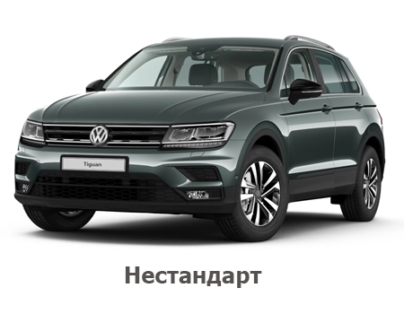 EVA автоковрики для Volkswagen Tiguan II 2016-2024 нестандарт — tig-2-nest